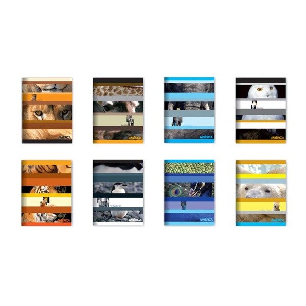 Producto - Cuaderno T/flexible  16 x 21 AMERICA x 48 hs