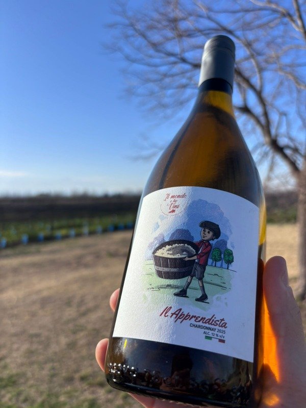 Producto - Il Apprendista Chardonnay