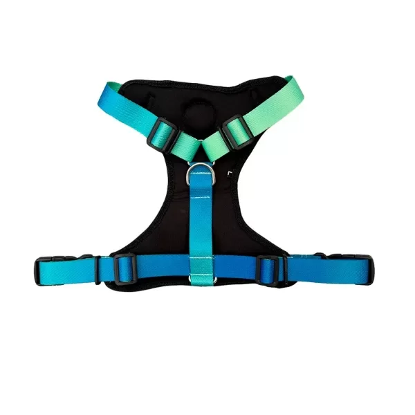 Producto - Pretal H degrade celeste M