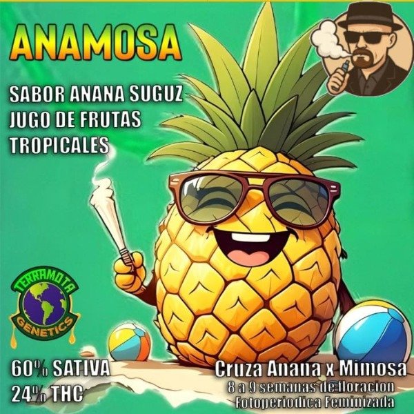 Producto - Anamosa