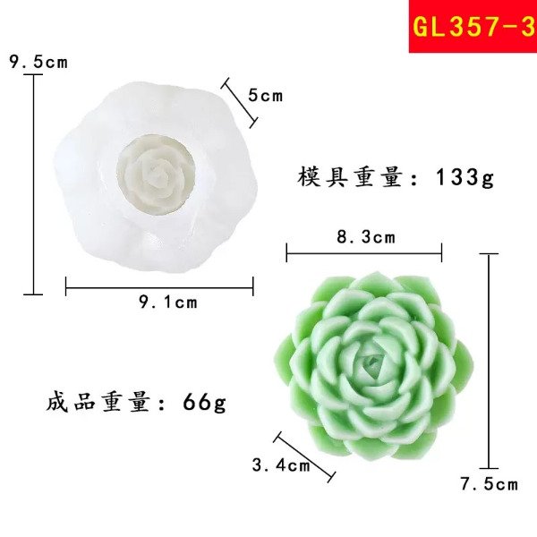 Producto - Suculenta XL 22T8