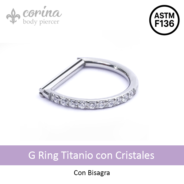Producto - G Ring Titanio con Cristales