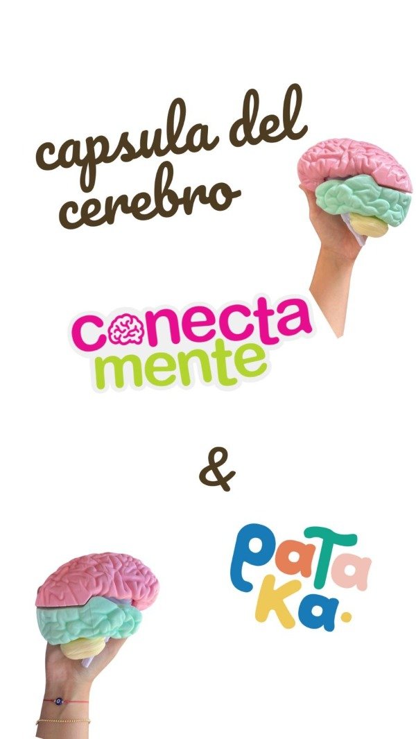 Producto - cerebro 3 d
