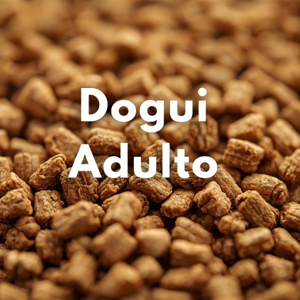 Producto - Dogui Adulto (Granel)