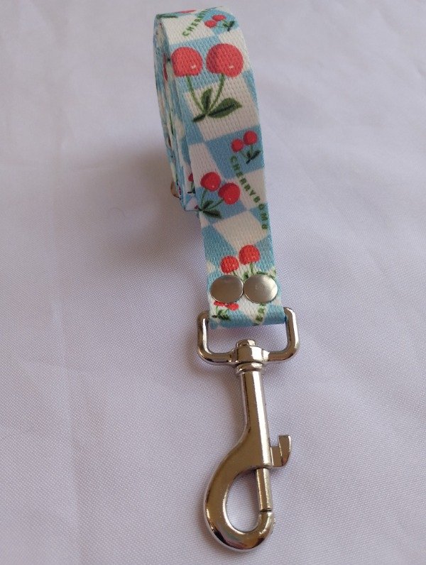 Producto - Correa Chery Baby Blue 25 MM - 1