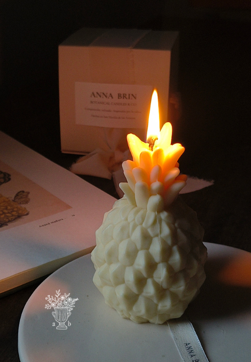 Producto - Ananas Regia - 2
