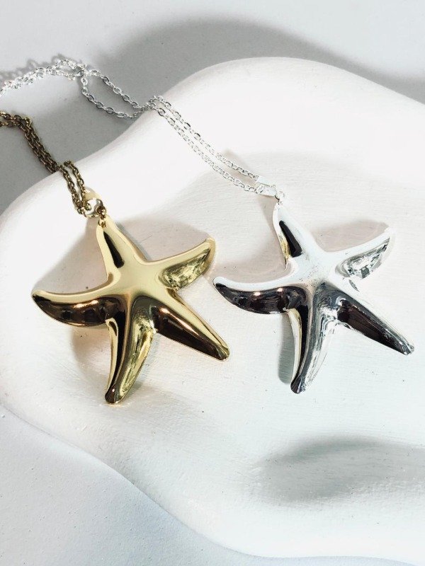 Producto - Collar Max Star