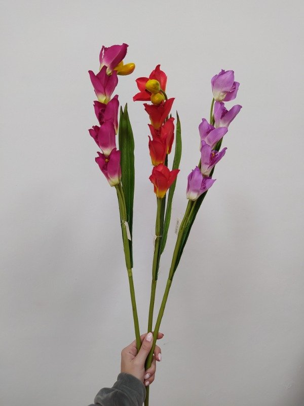 Producto - Ramo orquídea x5 flores