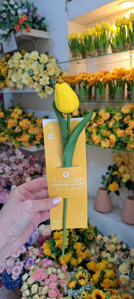 Producto - TULIPAN INDIVIDUAL