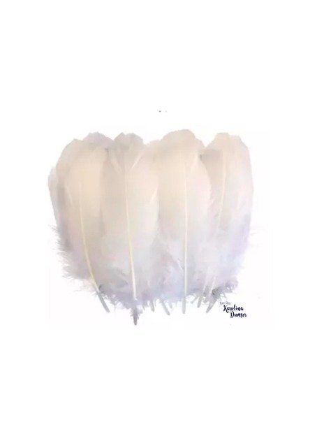 Producto - Plumas Blancas por 10 Unidades
