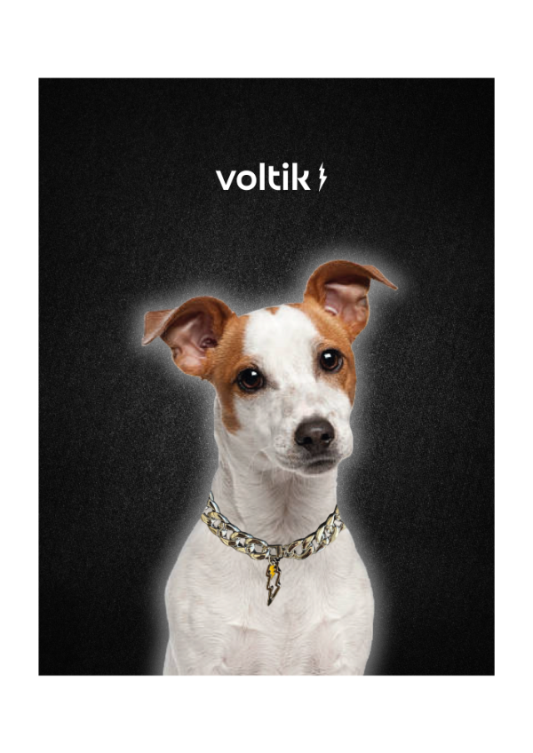 Producto - Voltik
