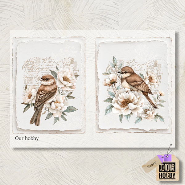 Producto - Transfer 20x30 cm 267