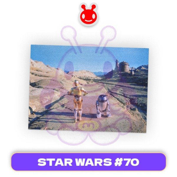 Producto - DROIDES 12