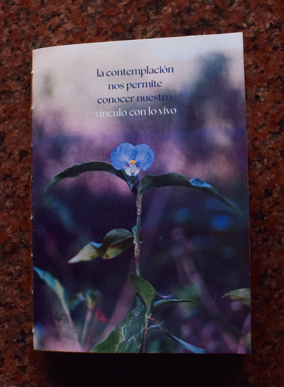 Producto - Cuaderno Tapa Blanda - CONTEMPLACION