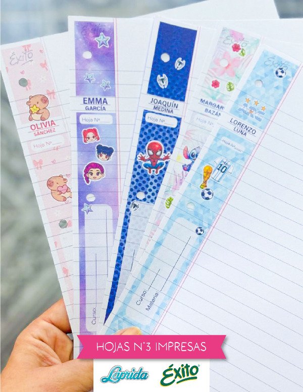 Producto - HOJAS N3 IMPRESAS