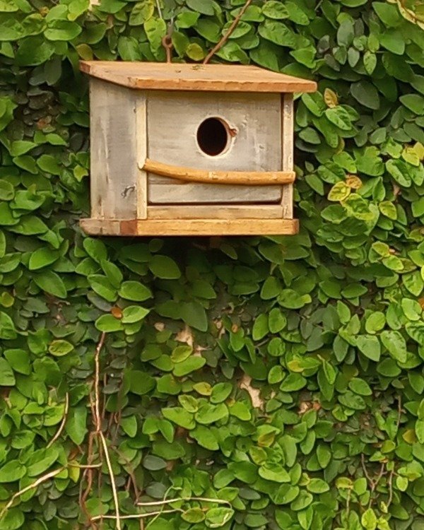 Producto - Casa para pájaros "nido viejo"