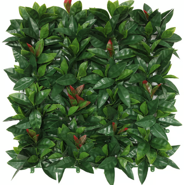 Producto - Jardín Vertical Fotinia