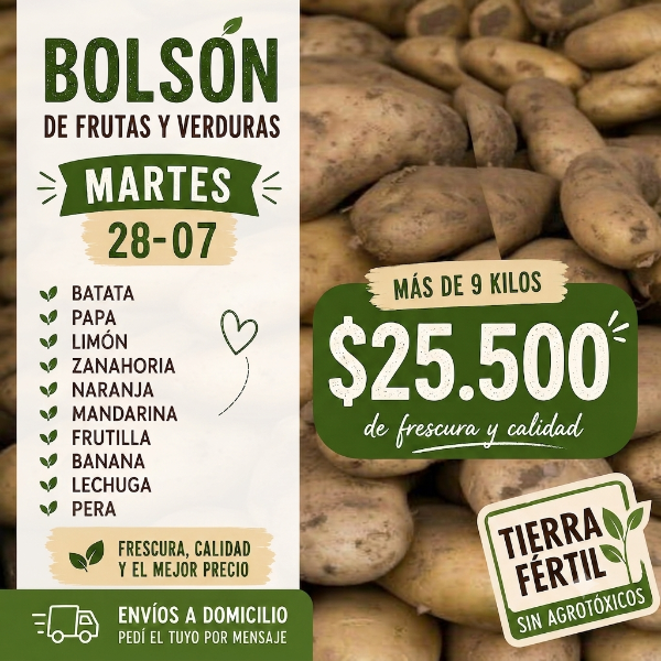 Producto - BOLSON FAMILIAR DE FRUTAS Y VERDURAS