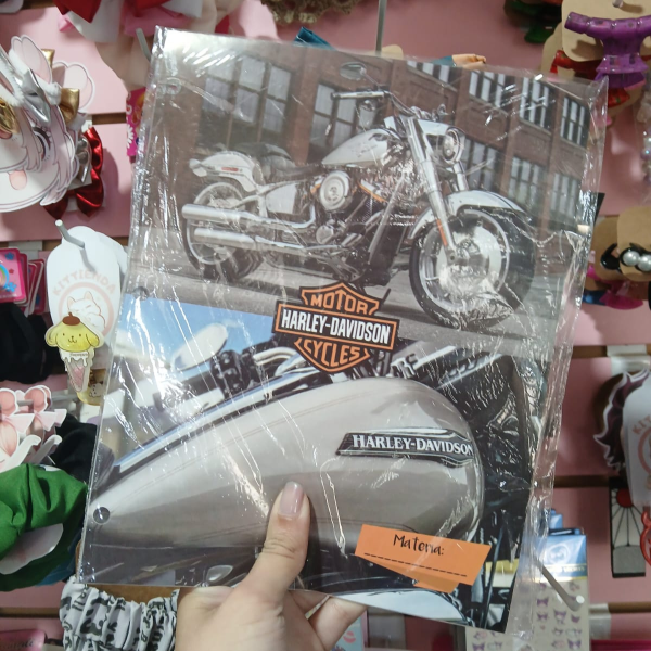 Producto - Separadores eco Harley Davidson
