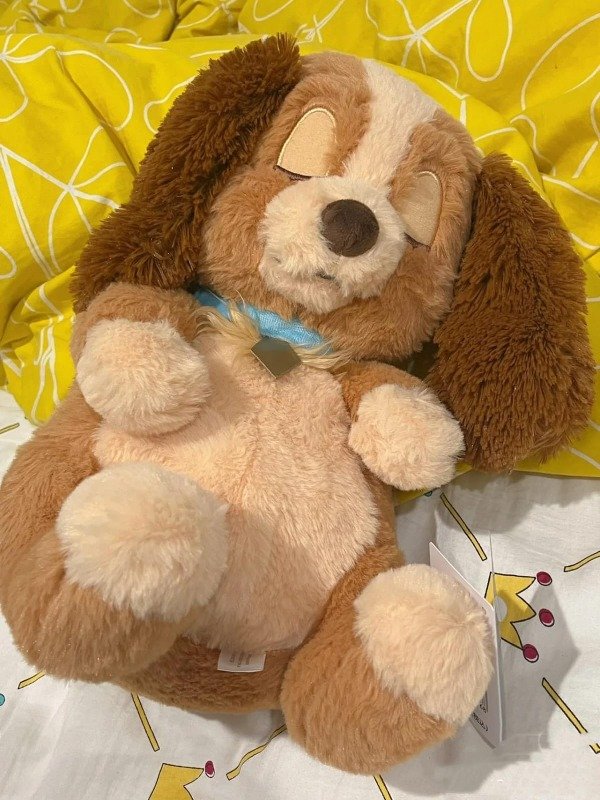 Producto - Peluche Lady