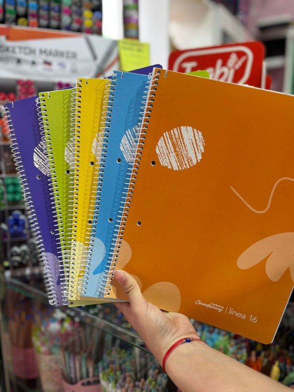 Producto - Cuaderno ledesma linea 16 rayado o cuadriculado (modelo liso)