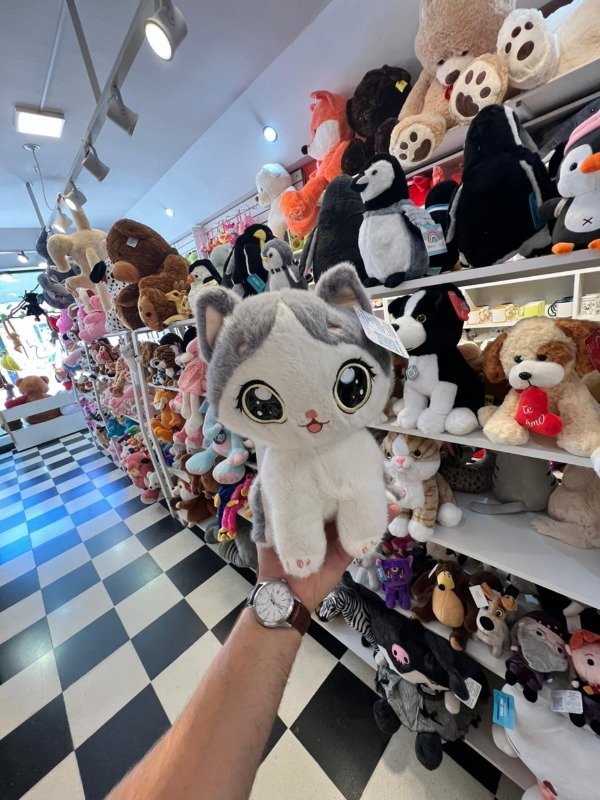 Producto - Gatos ojos grandes