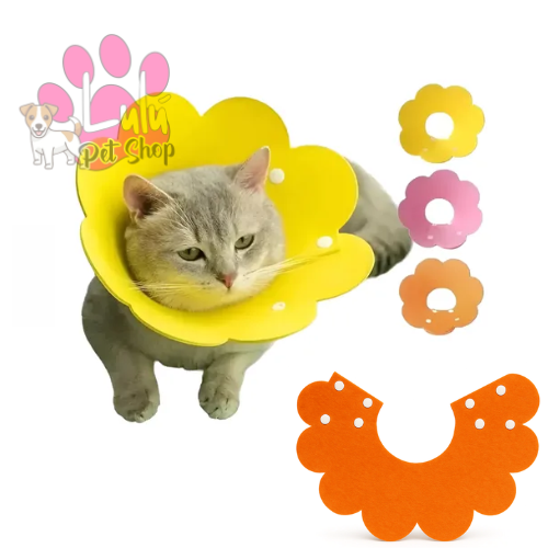 Producto - ISABELINO FLOR