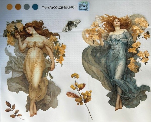 Producto - TransferCOLOR MIDI 035