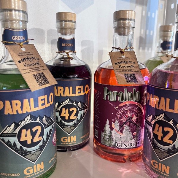 Producto - Gin x 750ml - Paralelo 42