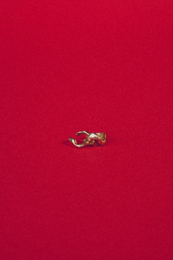 Producto - Earcuff fini