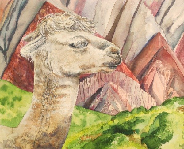 Producto - Llamas