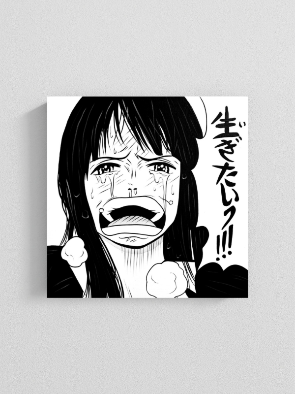 Producto - Cuadro Robin -One piece-