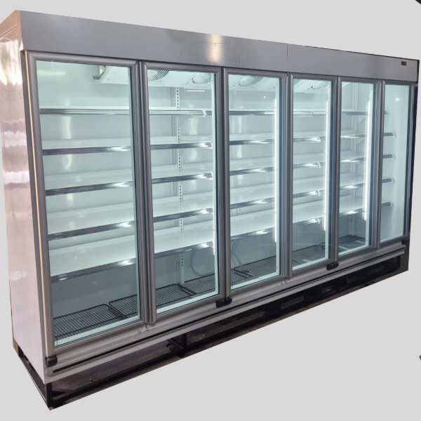 Producto - Heladera exhibidora de 6 puertas con estantes
