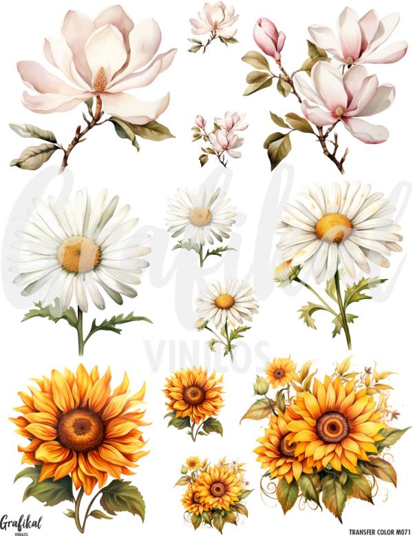 Producto - TransferColor 20x25 071