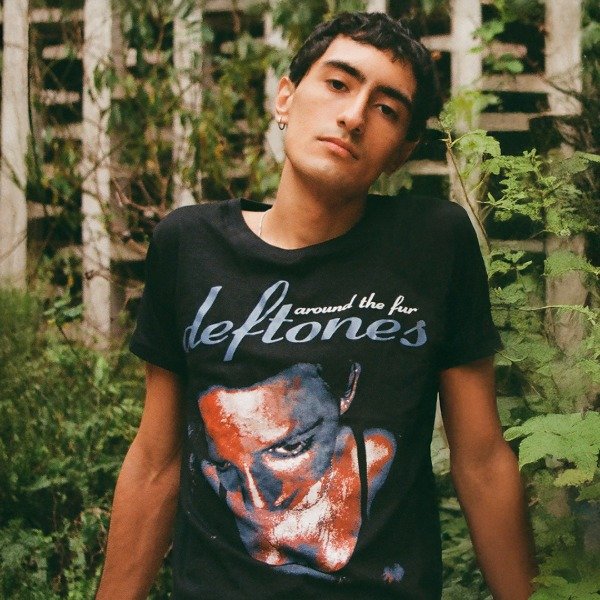 Producto - Remera Deftones Cropped