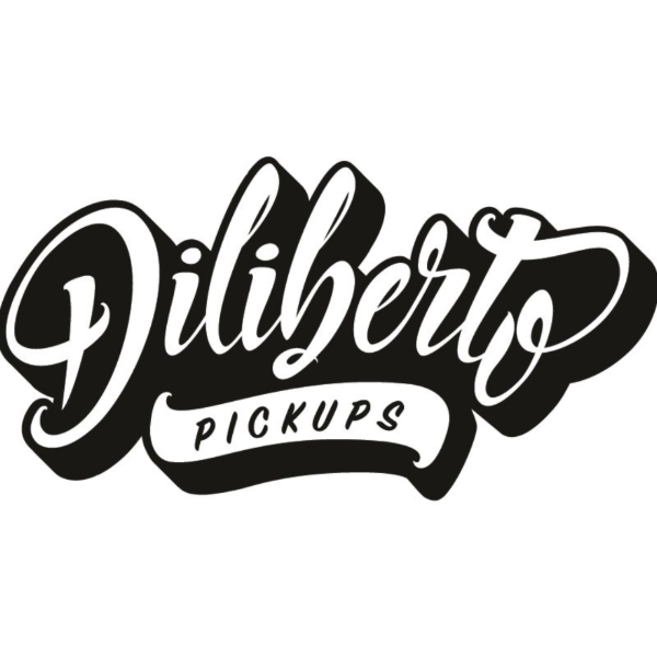 Producto - Tornillos para Pickguard de Acero inoxidable Cromados por unidad