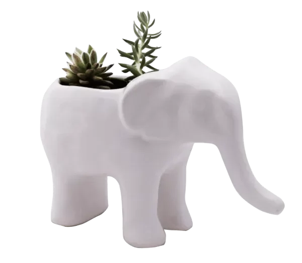 Producto - MACETA ELEFANTE