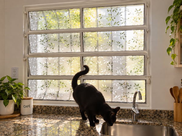 Producto - Esmerilado ventana hojitas ale - 5