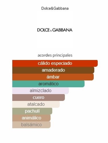 dolce gabbana intenso notas