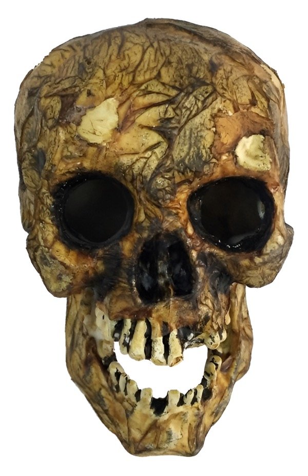 Producto - Calavera de la antigüedad 16 x 15 x 21cm