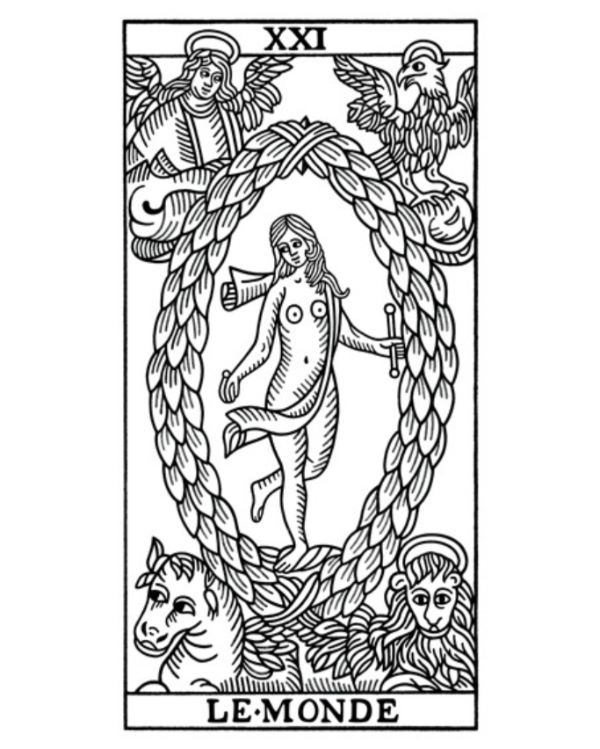 Producto - TIRADA ABIERTA ORLA