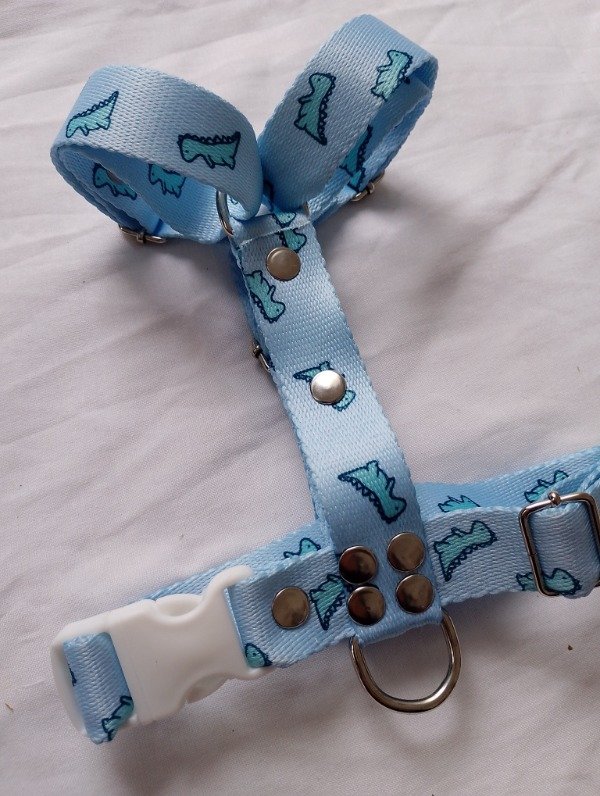 Producto - Arnés H Dino Baby Blue - 0