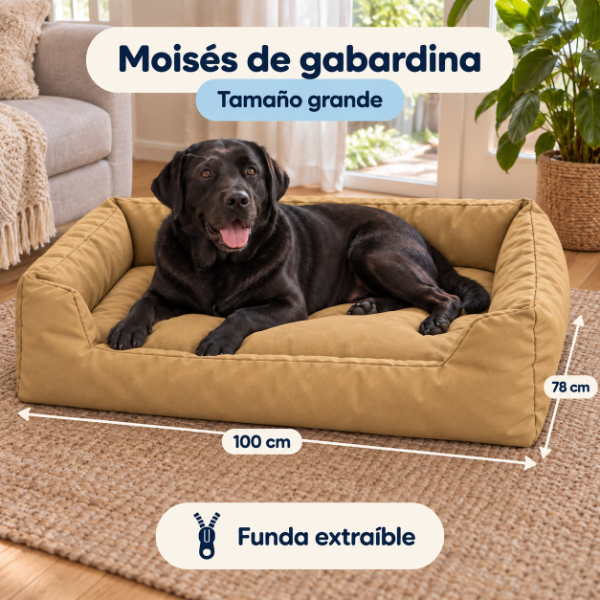 Producto - ART. D 1006 MOISES DE GABARDINA - 3