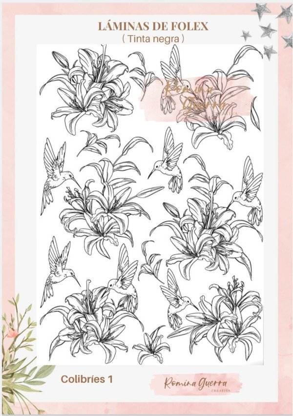 Producto - Laminas Folex - Colibries 1