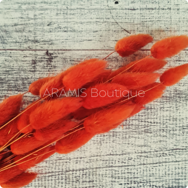 Producto - Colita de visón rojo