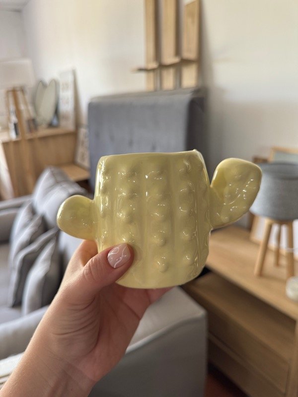 Producto - Maceta cactus