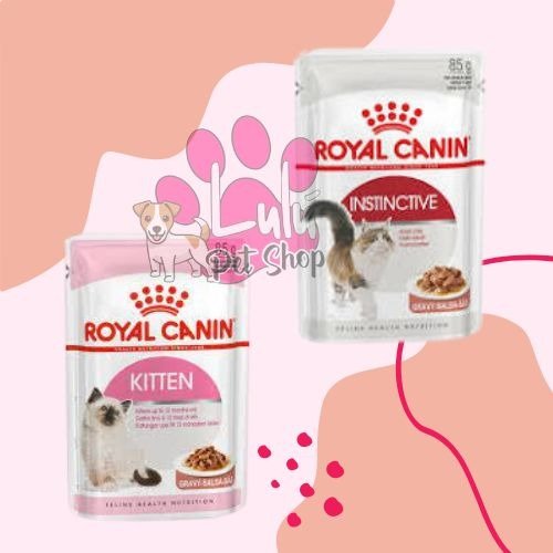 Producto - POUCH ROYAL CANIN CAT