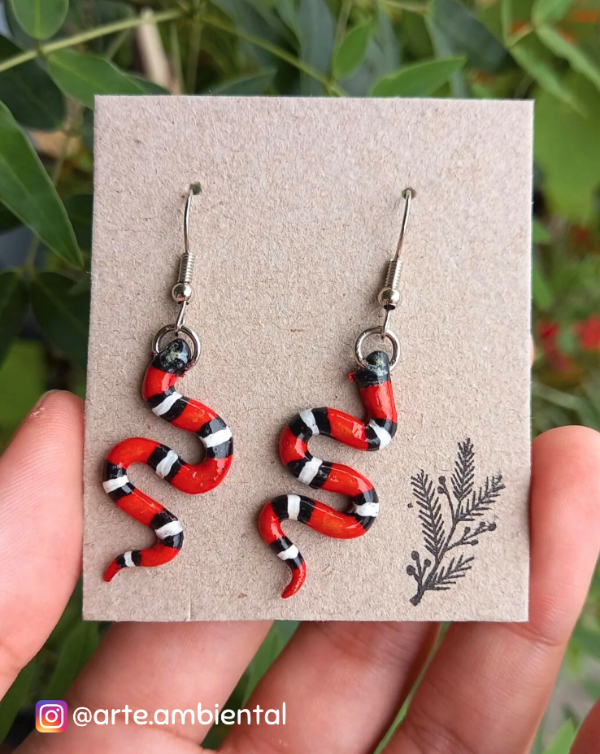 Producto - Aritos de Falsa Coral Misionera