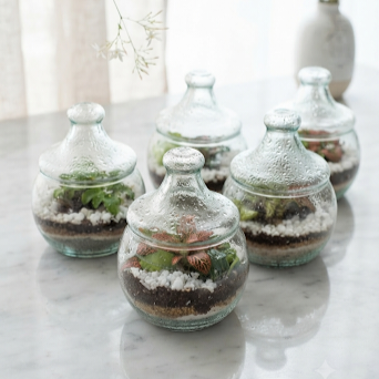 Producto - Bombitas con cristales - 0