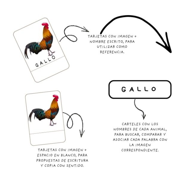 Producto - Pack de Lectoescritura- Animales de la granja (imágenes reales ) - 2